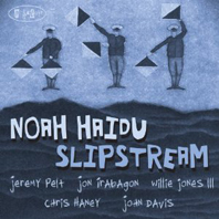 New York caz dünyasının genç ve parlak piyanistlerinden Noah Haidu "Slipstream" isimli albümüyle göz kamaştırıyor...