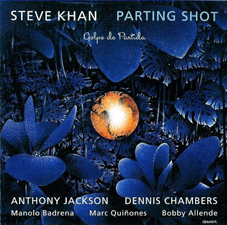 Günün Albümü: "Parting Shot" (2011) Steve Khan