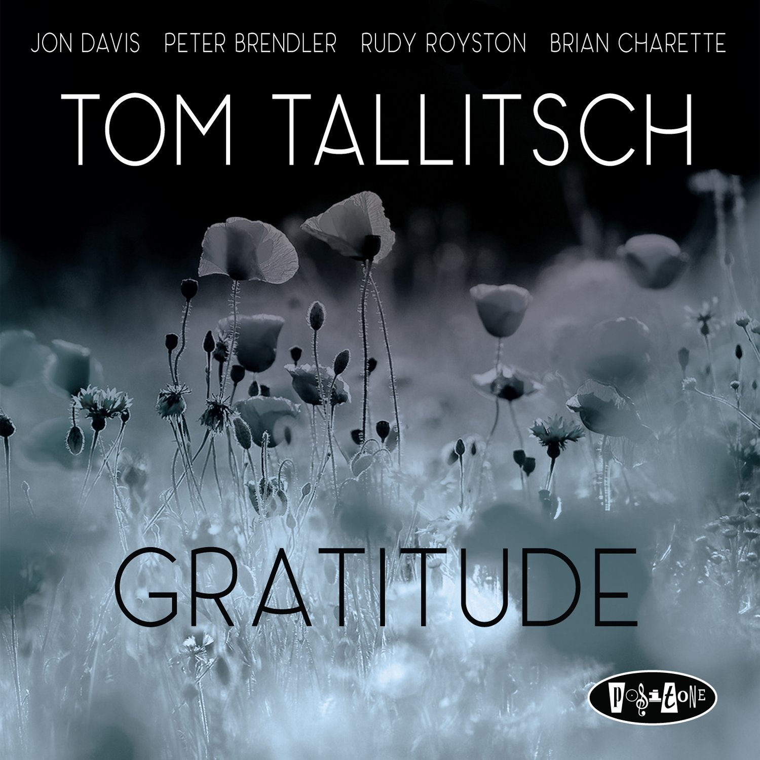 Günün Albümü: Tom Tallitsch "Gratitude" (2016)