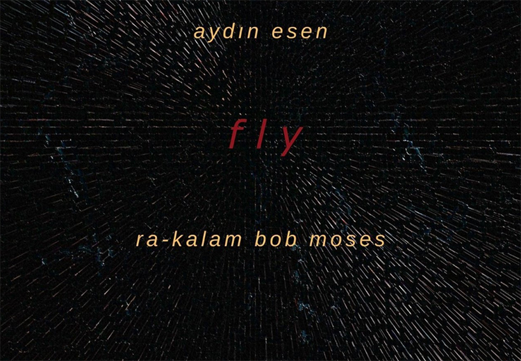 Aydın Esen'den geçen yılın son dakika sürprizi "Fly"