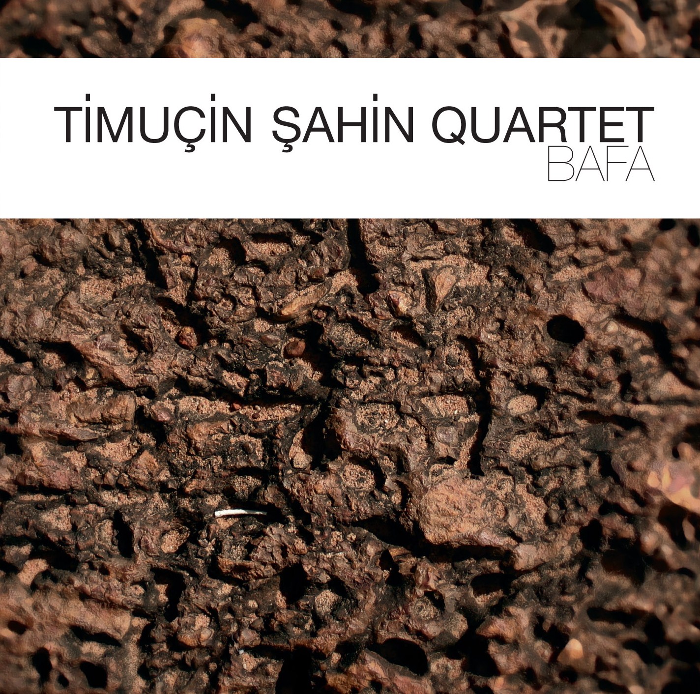 Timuçin Şahin Quartet Bafa