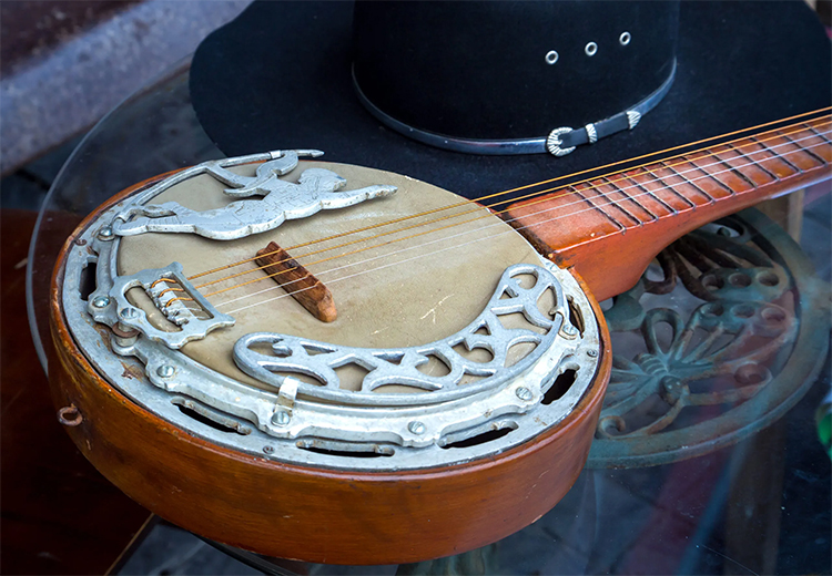 Bir enstrüman olarak banjonun asi tarihi müziğin, kölelik, beyaz üstünlükçülük, din, maneviyat ve politika arasındaki bağlarından oluşur