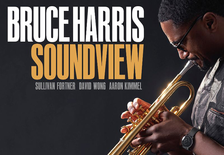 Bruce Harris'in "Soundview" albümü övgüleri hakeden klas bir albüm