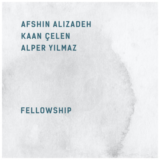 Afshin Alizadeh, Kaan Çelen, Alper Yılmaz Fellowship