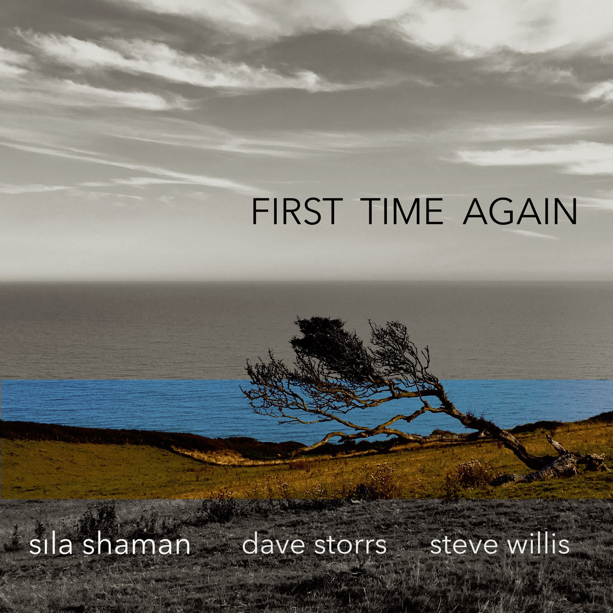 Sıla Shaman, Dave Storrs, Steve Willis First Time Again