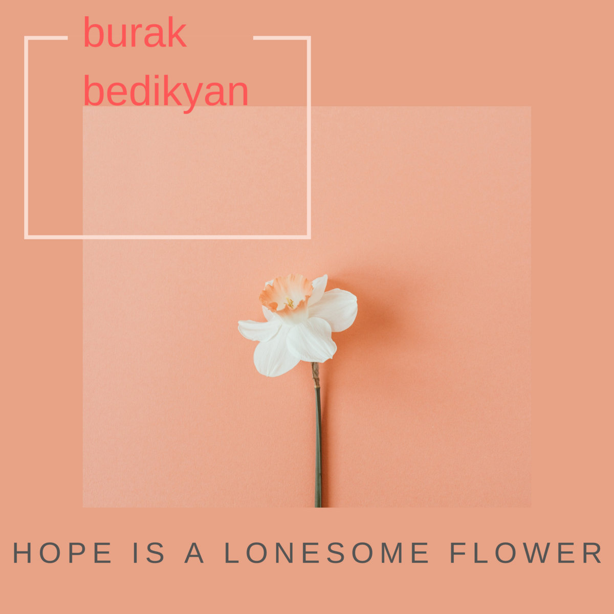 Burak Bedikyan Hope is a Lonesome Flower