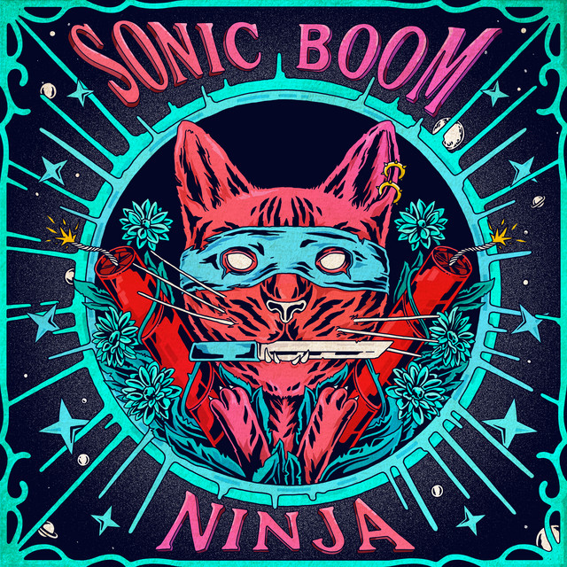 Sonic Boom Ninja