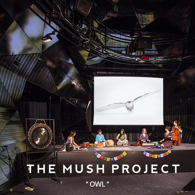 The Mush Project Owl