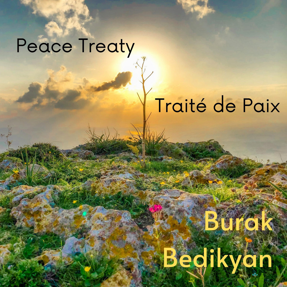 Burak Bedikyan Peace Treaty