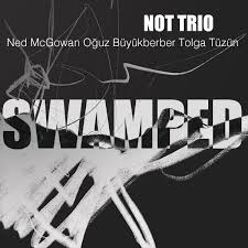 NOT Trio (Tolga Tüzün) Swamped